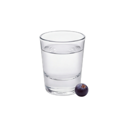 ג'ין